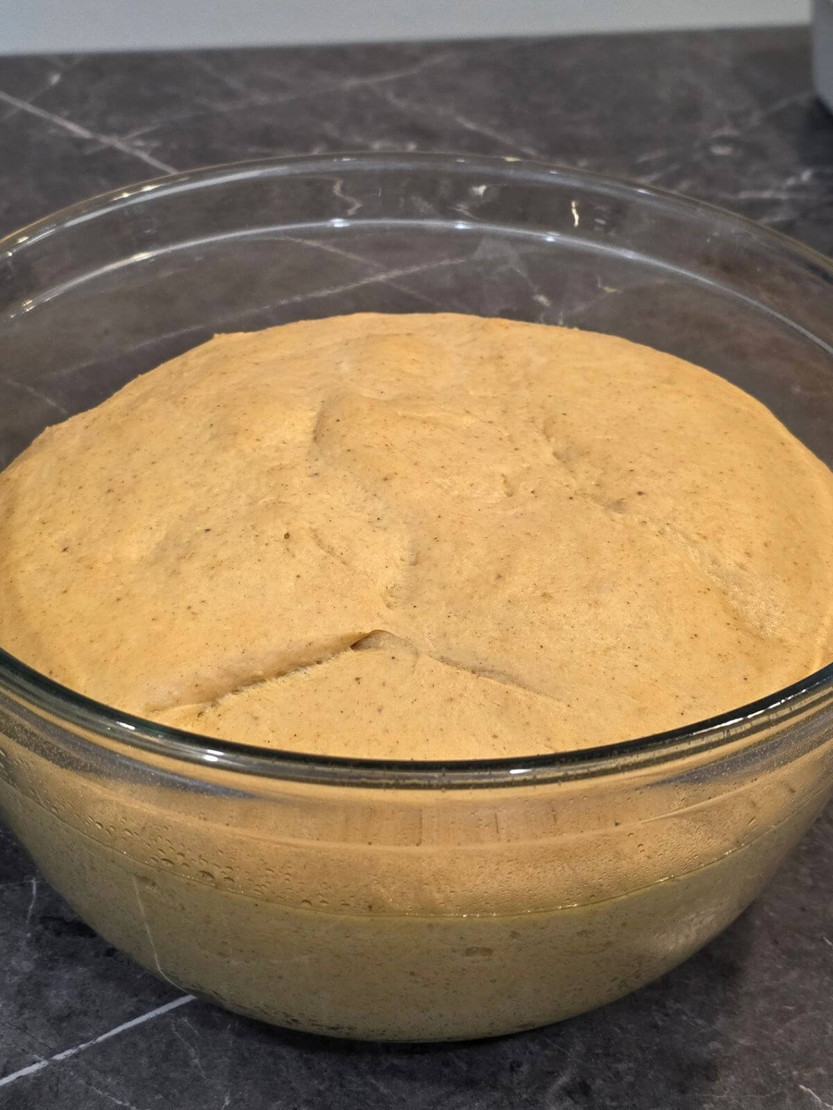 Sourdough pumpkin cinnamon roll dough after bulk fermentation.