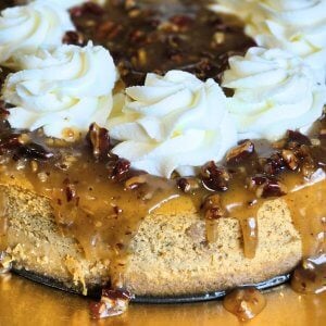 pumpkin cheesecake with caramel pecan topping