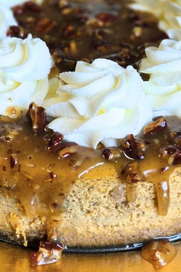 pumpkin cheesecake with caramel pecan topping