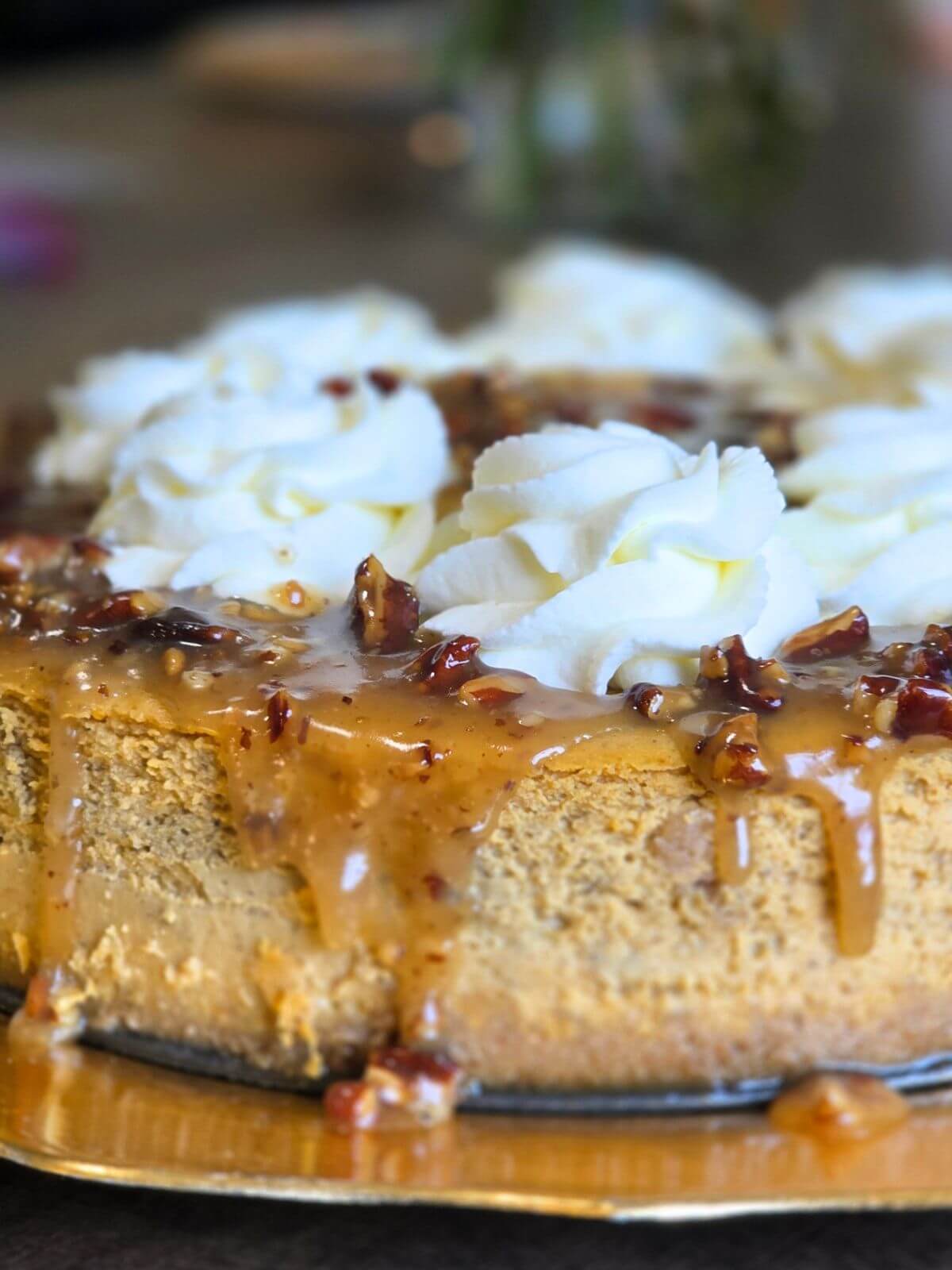 Pumpkin cheesecake topped with caramel pecan sauce and piped whipped cream swirls.