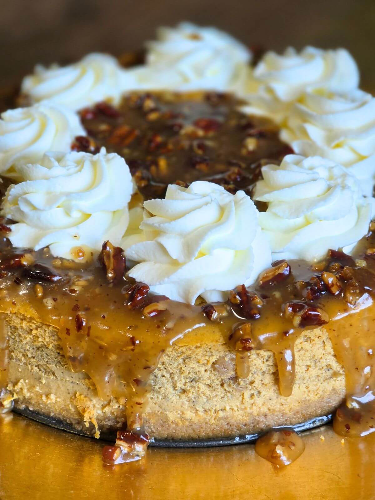 Finished pumpkin cheesecake with caramel pecan topping and whipped cream around the edge.