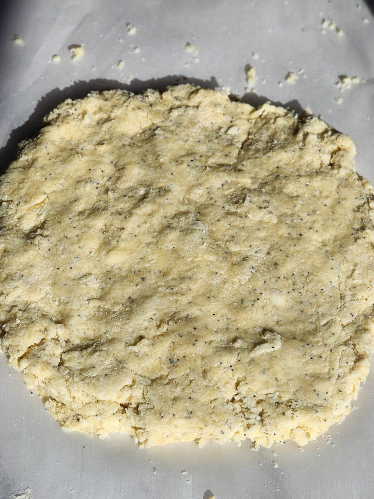 Almond poppy seed scone dough pressed into a round before cutting.