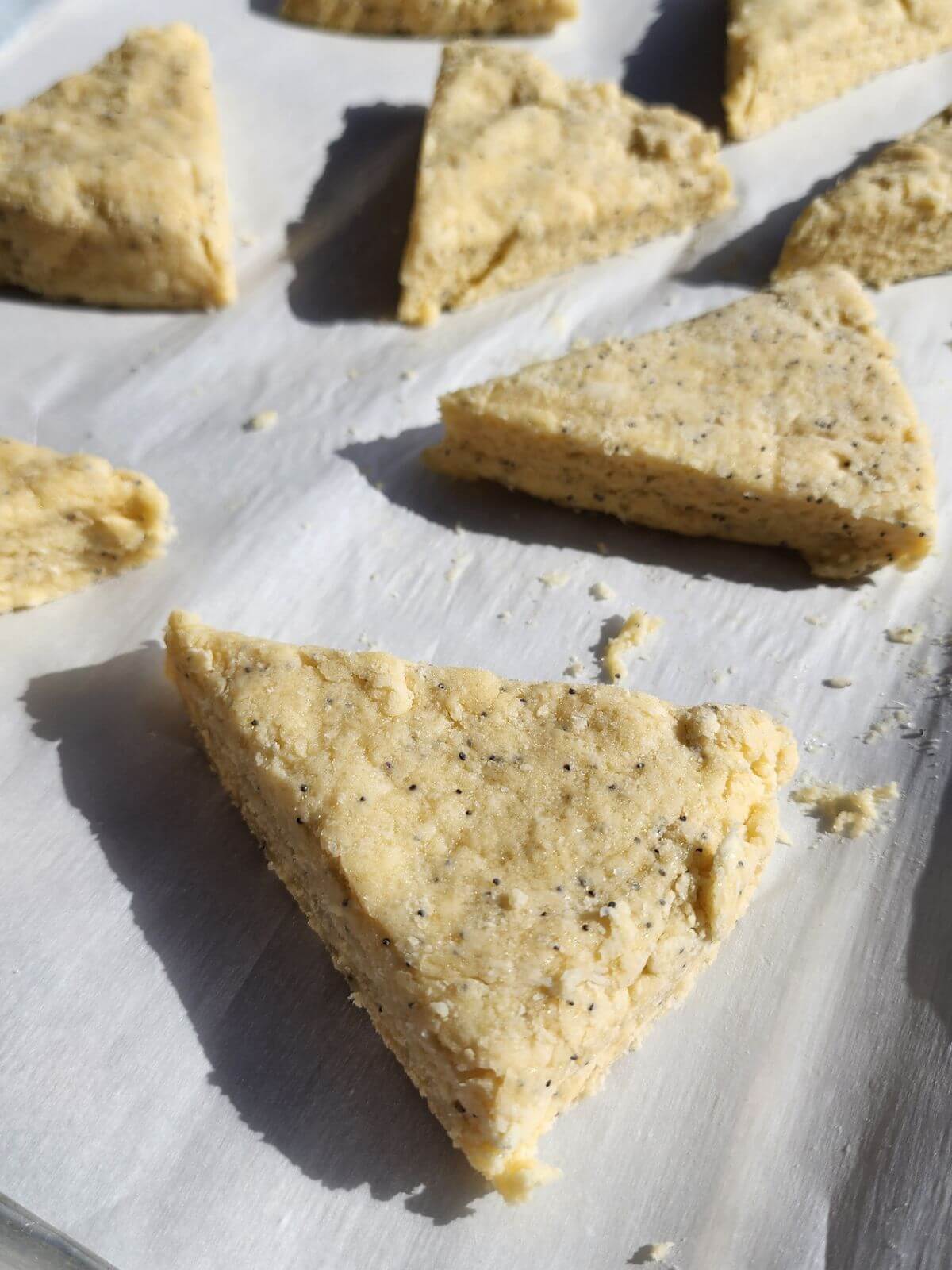 Unbaked almond poppy seed scones cut into triangles on a baking sheet.