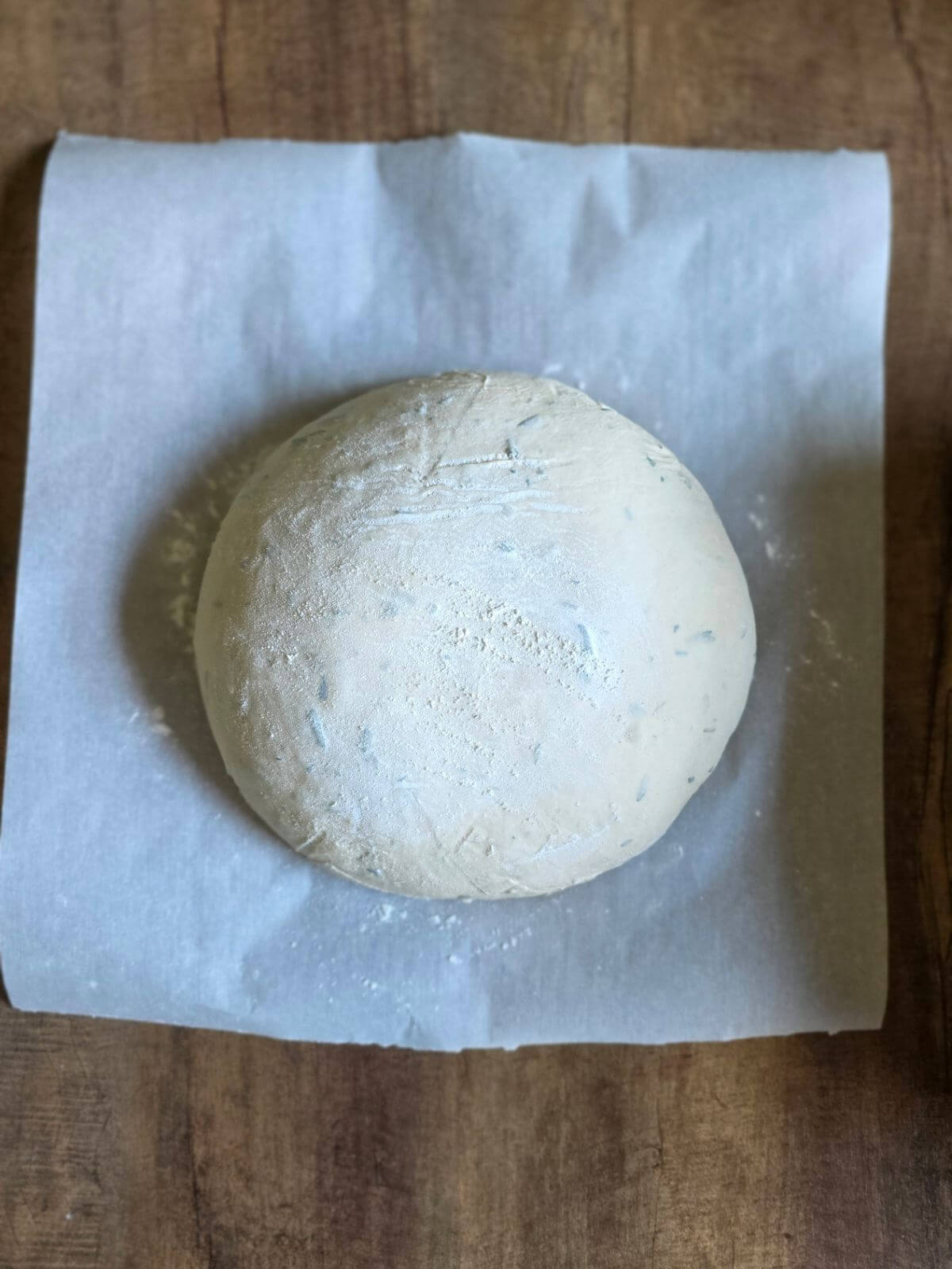Shaped roasted garlic and rosemary sourdough bread dough resting on parchment paper.