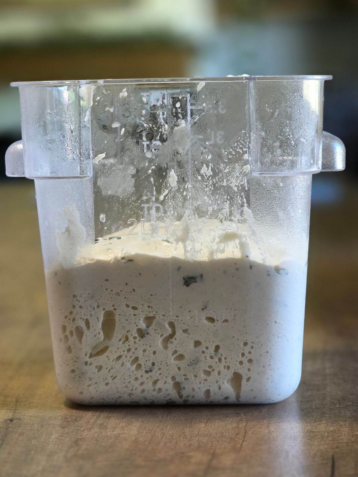 Roasted garlic and rosemary sourdough bread dough rising in a clear container during bulk fermentation.