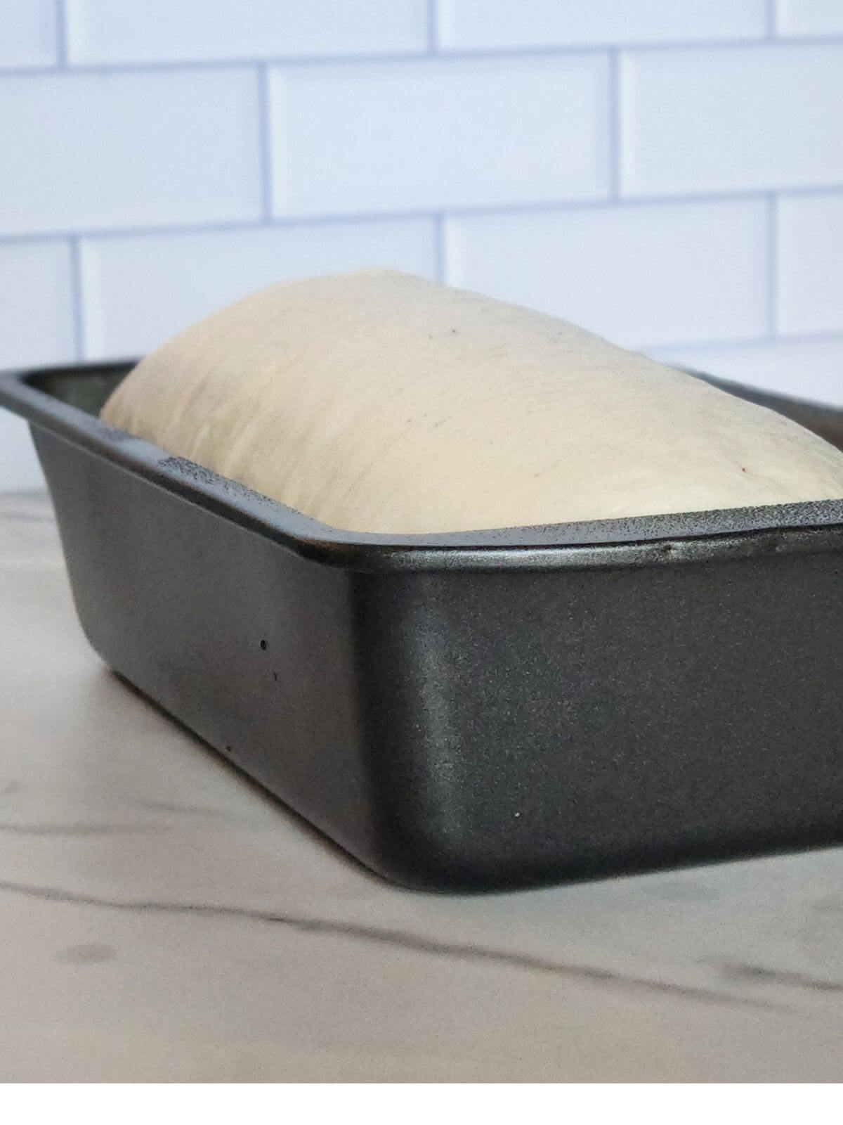Loaf of sourdough sandwich bread fully risen.