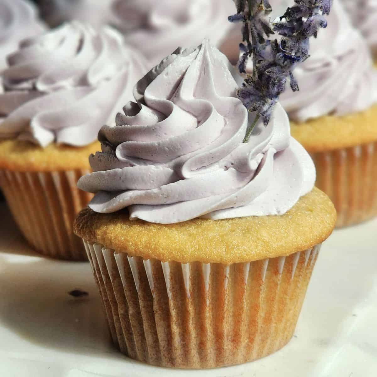 Lavender Vanilla Cupcakes with Honey Lavender Buttercream