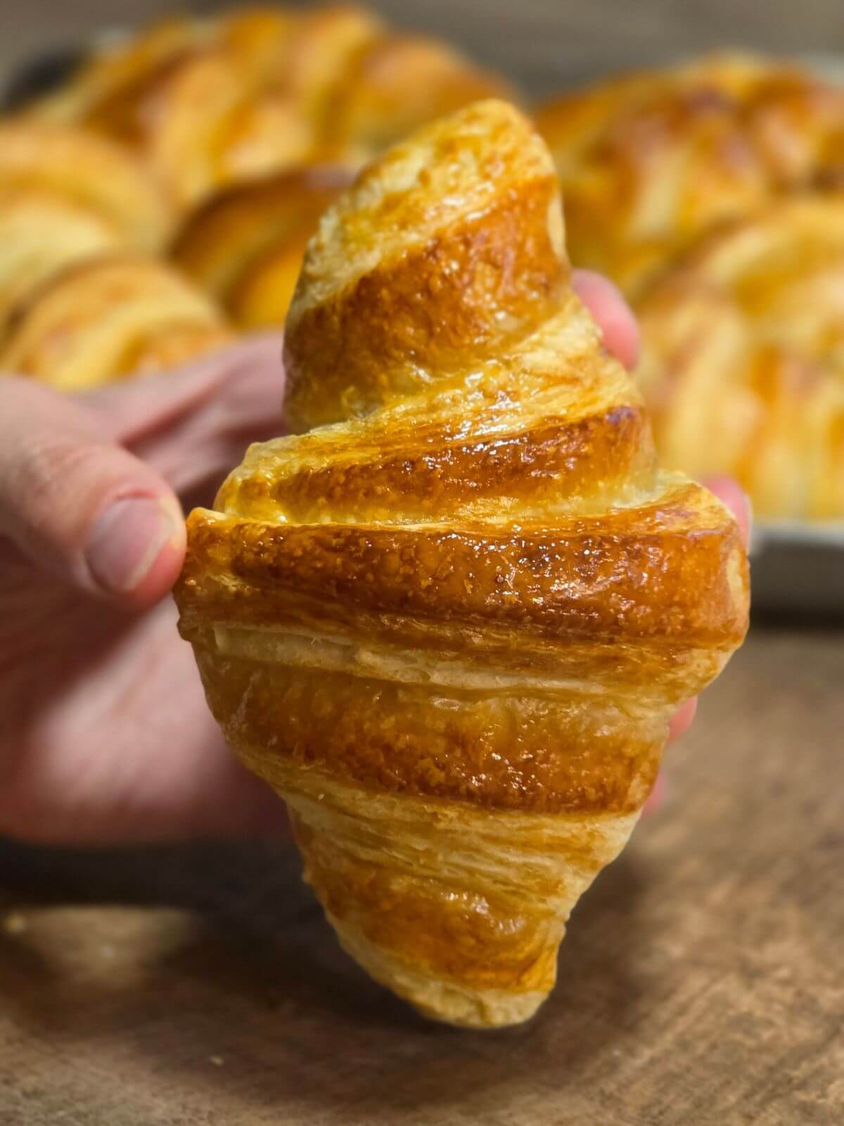Close up of a golden sourdough croissant.