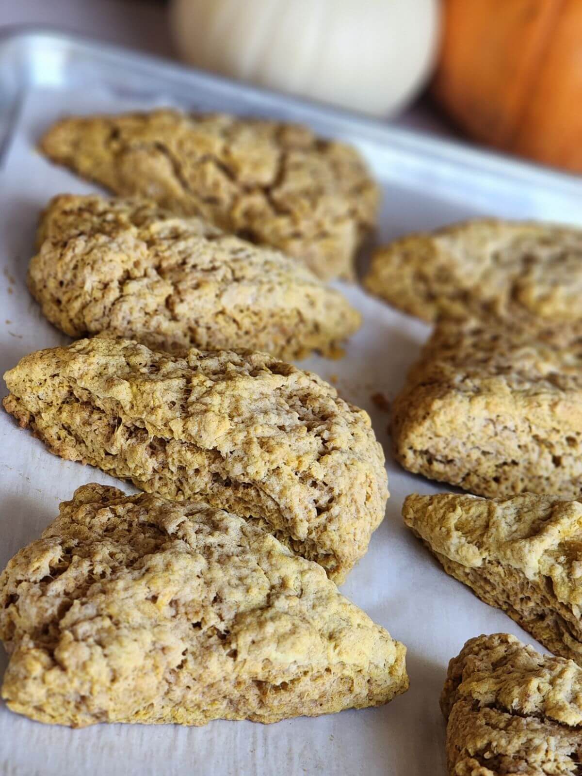 Freshly baked pumpkin sourdough scones cooling on a parchment lined baking sheet.