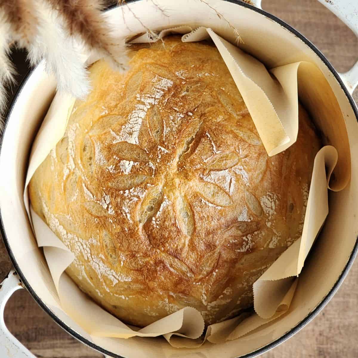 Easy Sourdough Dutch Oven Artisan Bread Recipe