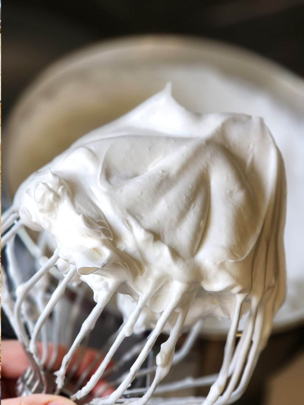 Glossy whipped egg whites for angel food cake roll holding soft peaks on a whisk.