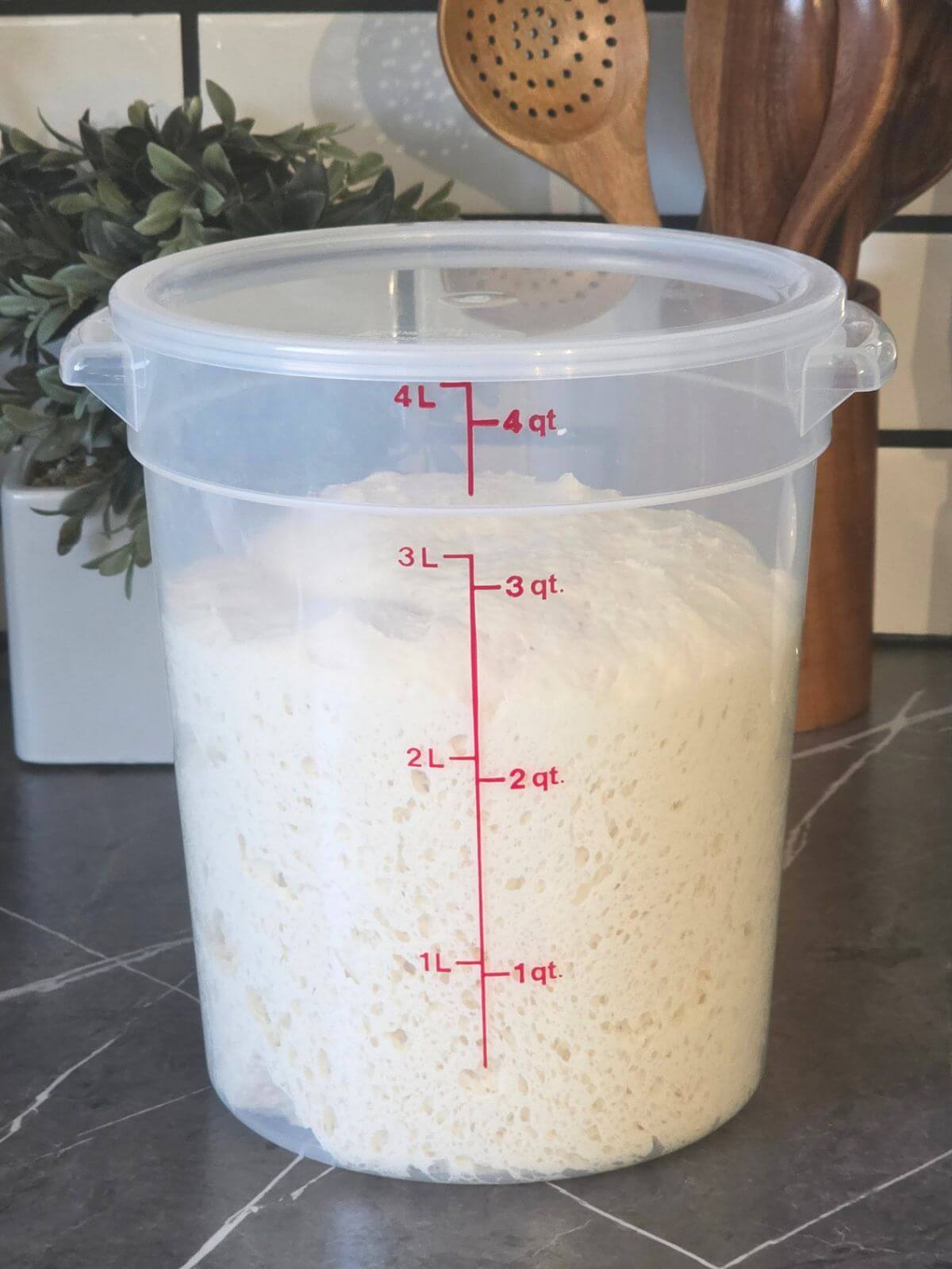 Naan dough doubled in size in the container.