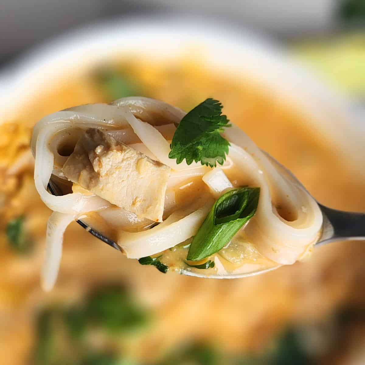 The Best Thai Chicken Coconut Curry Soup Recipe