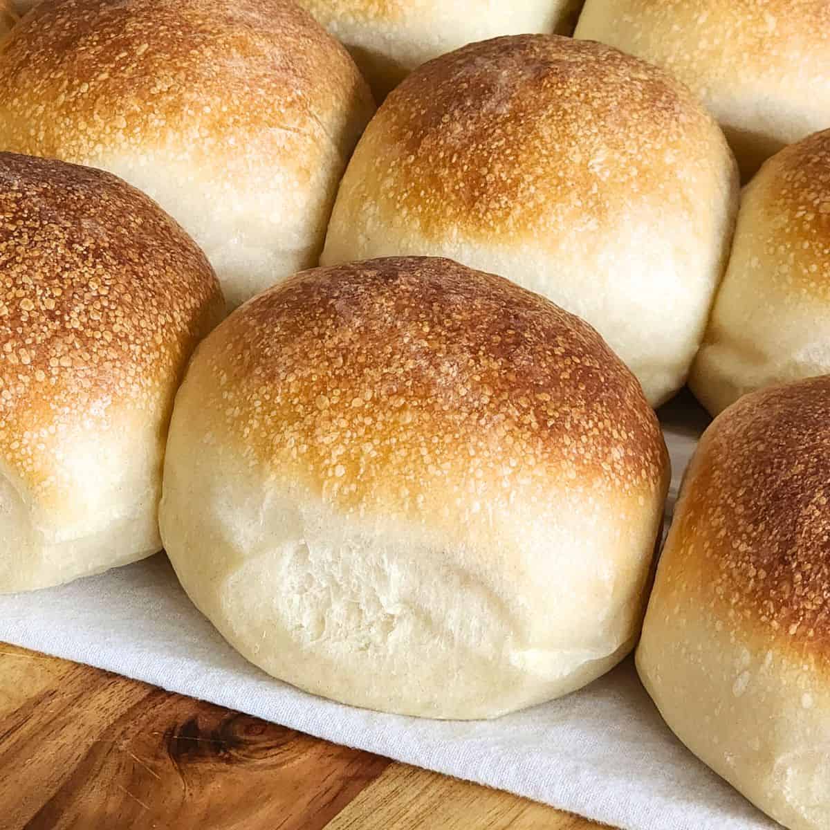 Soft & Fluffy Sourdough Hamburger Buns