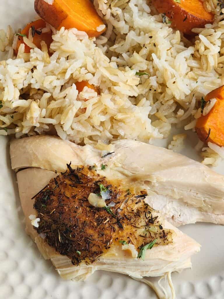 a bit of chicken and rice