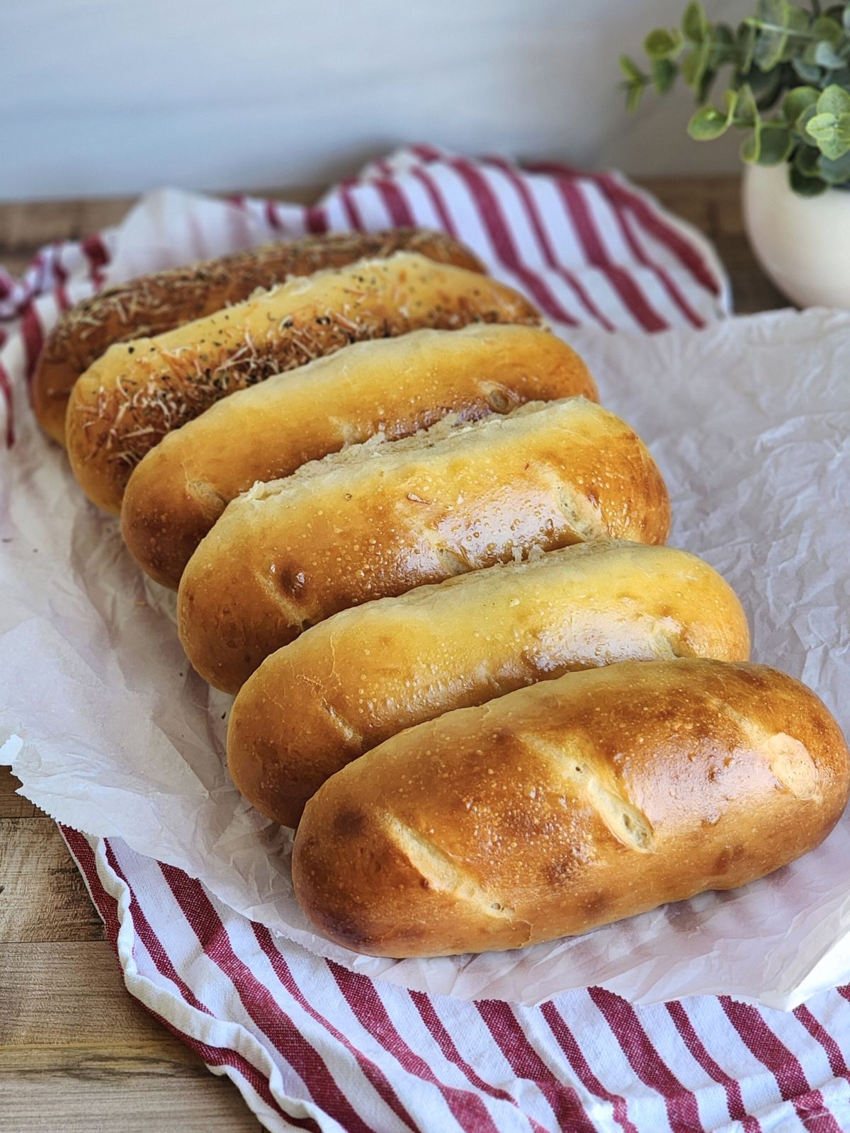 Sourdough hoagie rolls arranged neatly on a parchment paper.