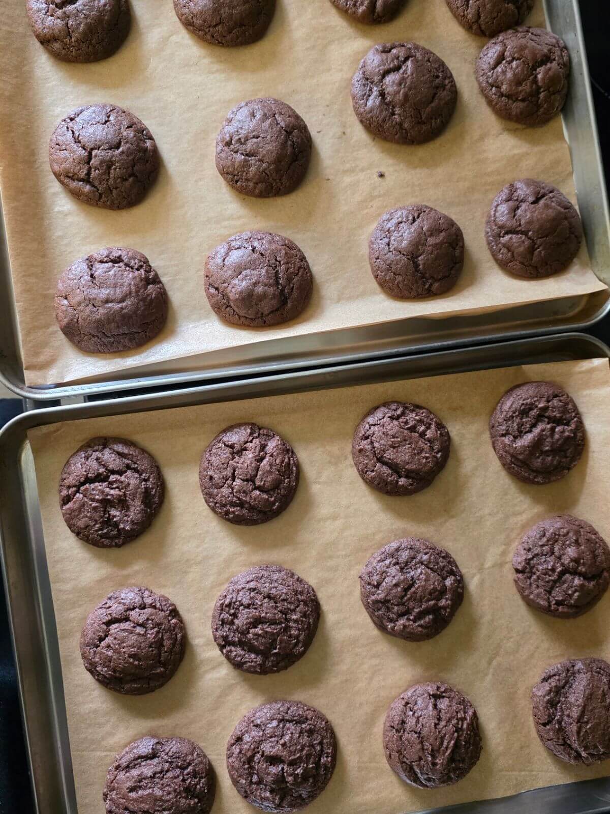 Baked chocolate sourdough cookies cooling on a parchment lined baking sheet.