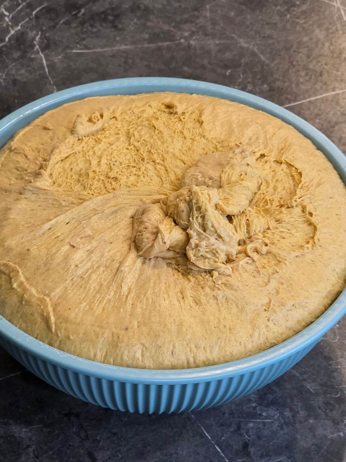 Pumpkin sourdough dough after bulk fermentation in a large bowl.