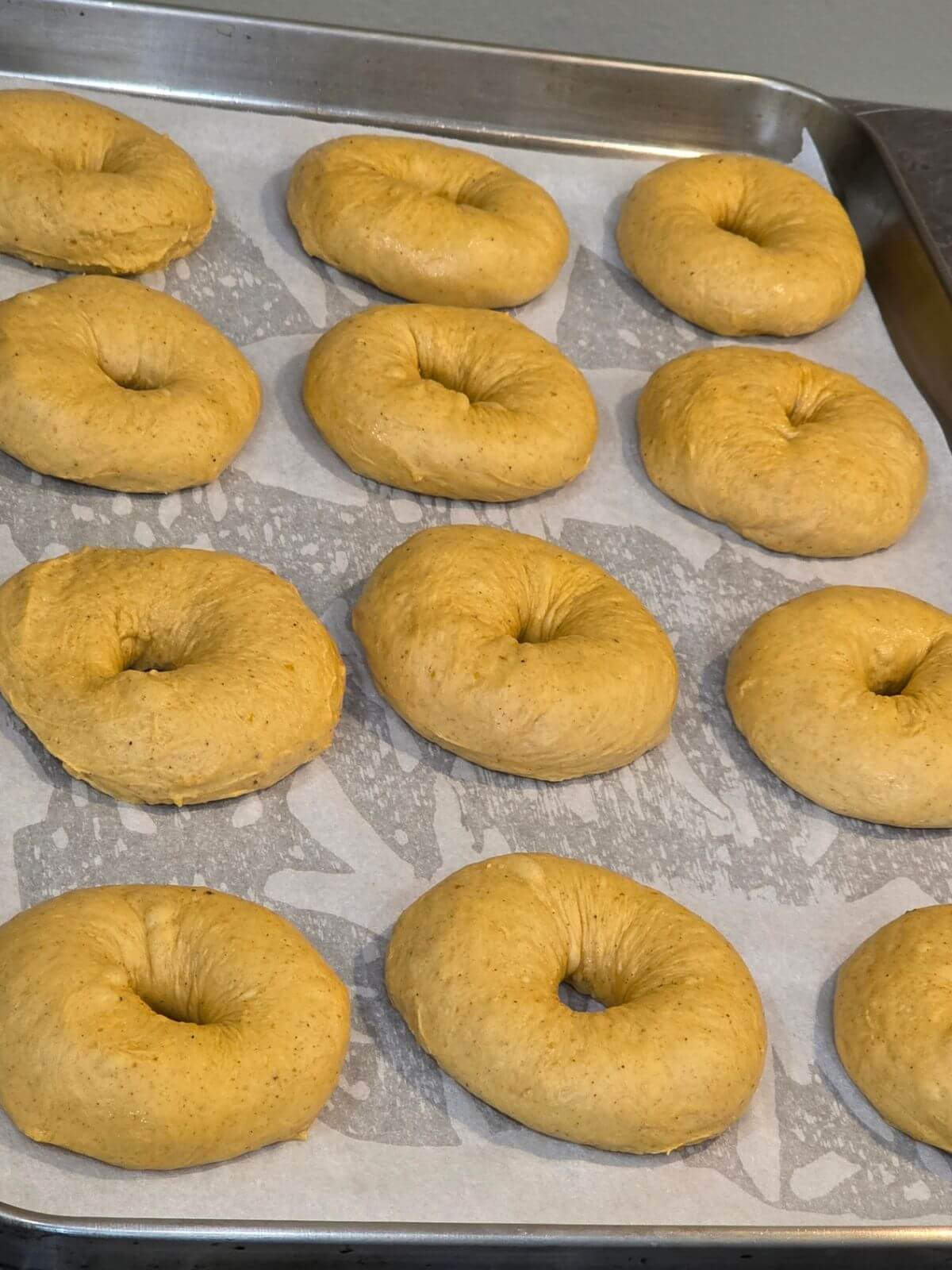 Shaped sourdough pumpkin bagels resting on a parchment lined baking sheet.