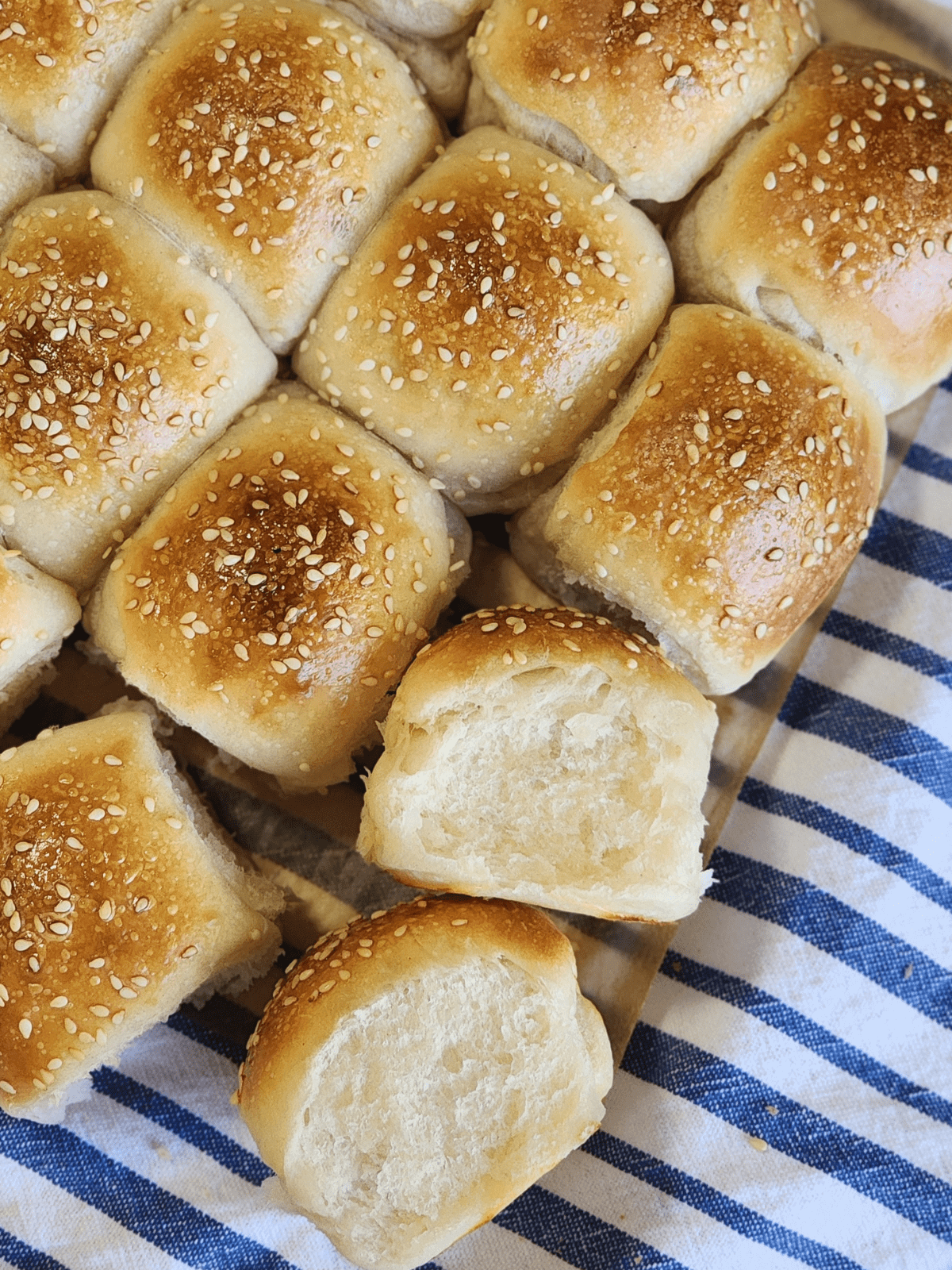 sourdough dinner rolls