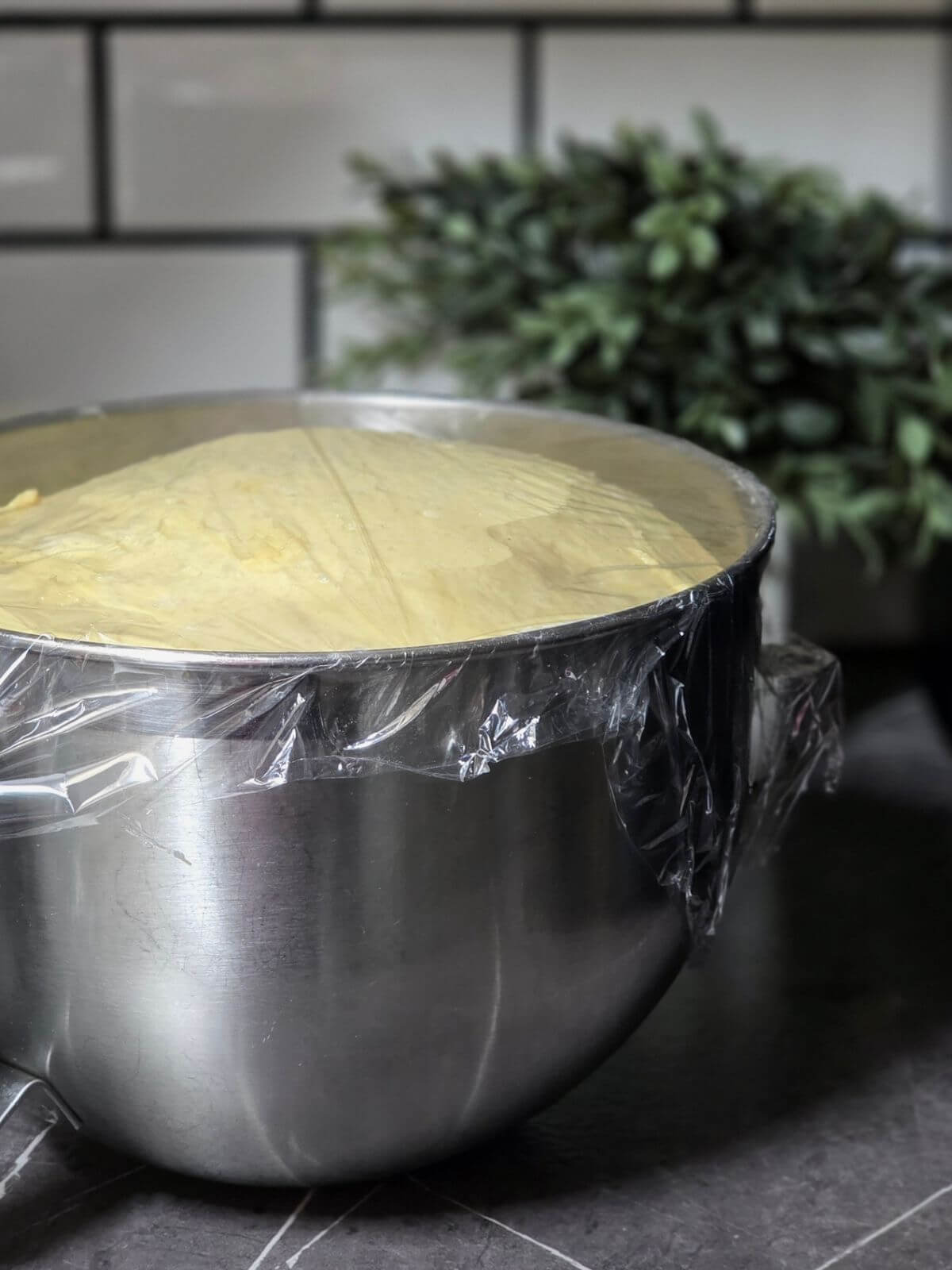 sourdough blackberry lavender rolls dough