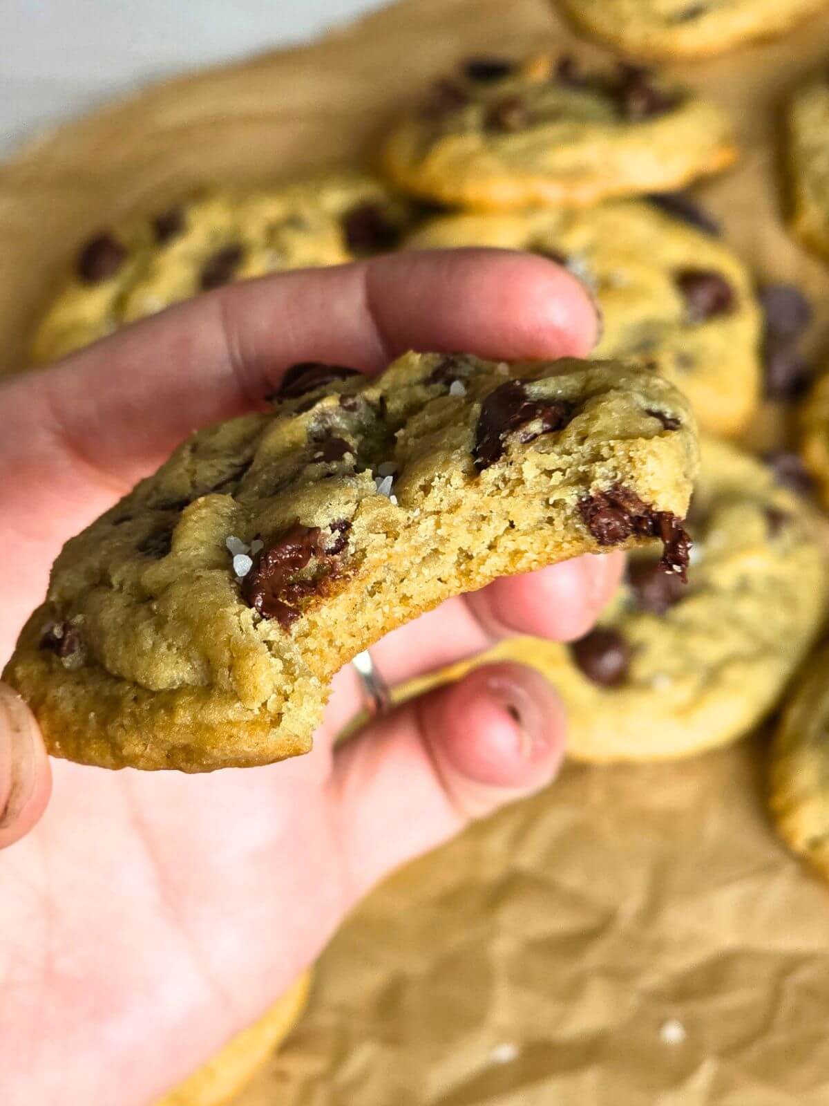 sourdough chocolate chip cookies