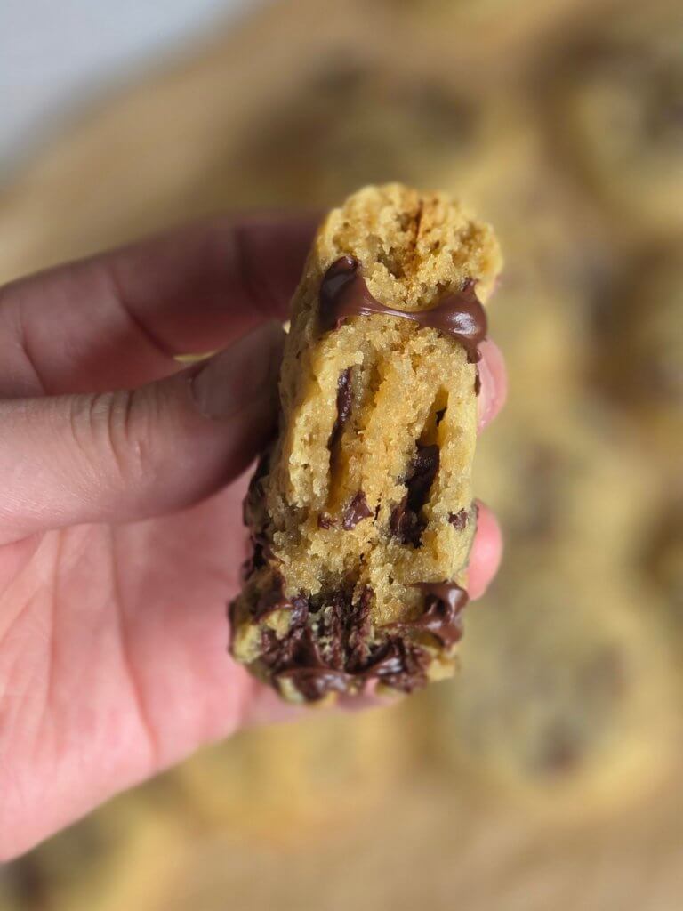 sourdough chocolate chip cookies