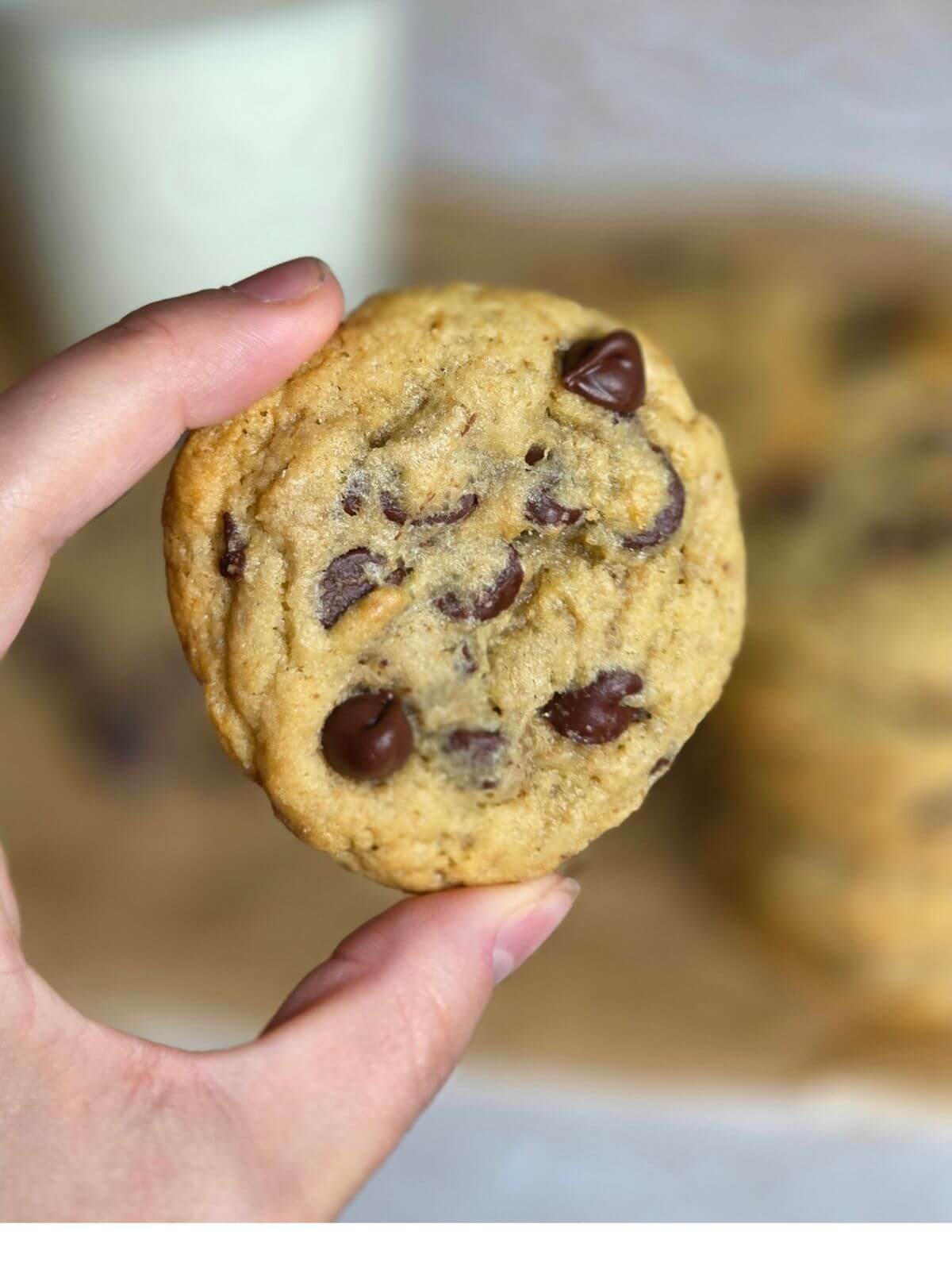 sourdough chocolate chip cookies