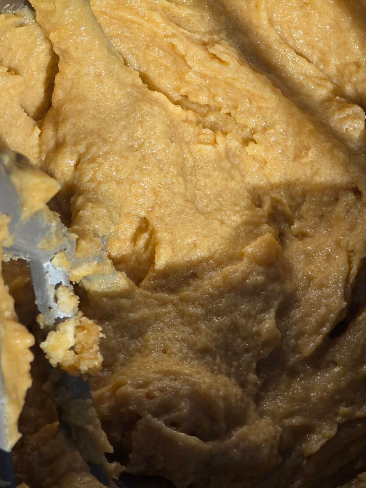 chocolate chip cookie dough