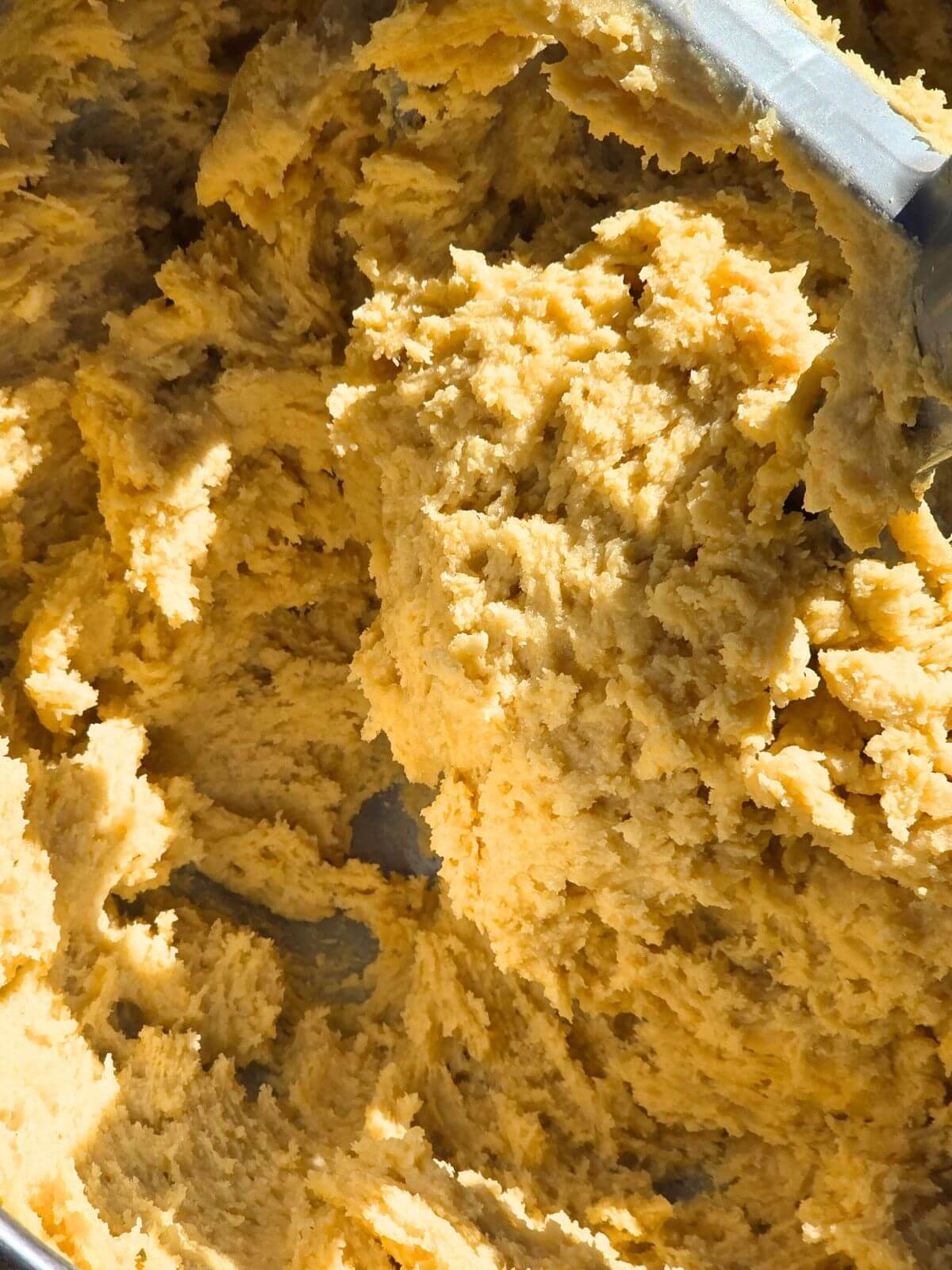 chocolate chip cookie dough